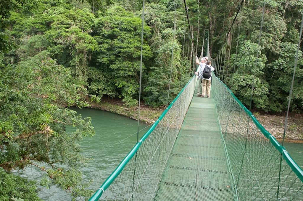 Selva Verde Lodge Sarapiquí Екстериор снимка