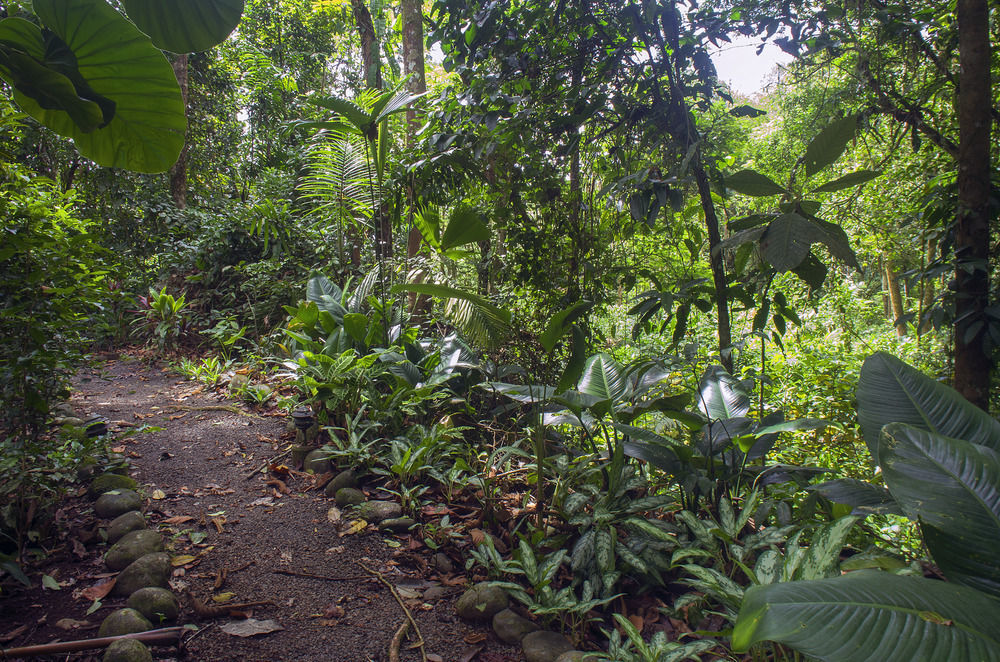 Selva Verde Lodge Sarapiquí Екстериор снимка